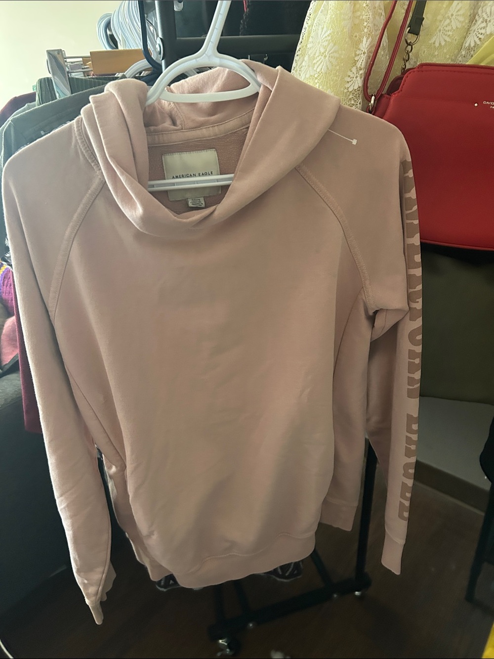 American Eagle Outfitters Soft Pink Hoodie Sweatshirt